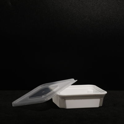 Customized Bpa Free Fast Food Box With PP Material Printing