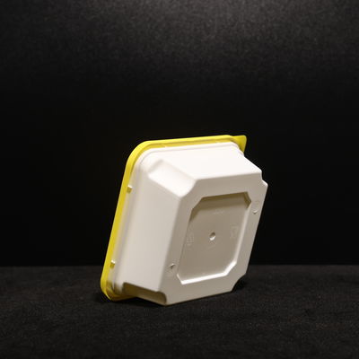 Customized Colored Lid PP Plastic Lunch Box with Snap On Lid