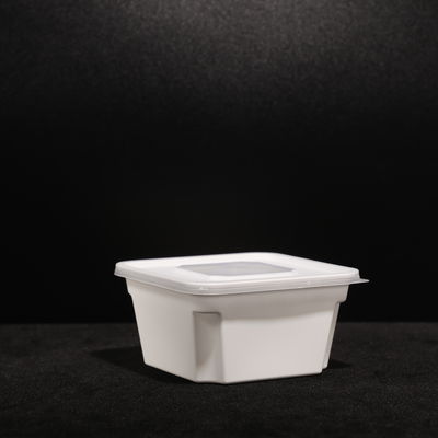 Picnic PP Plastic Lunch Box Disposable With Snap On Lid For Hot / Cold Food