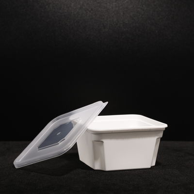 Picnic PP Plastic Lunch Box Disposable With Snap On Lid For Hot / Cold Food