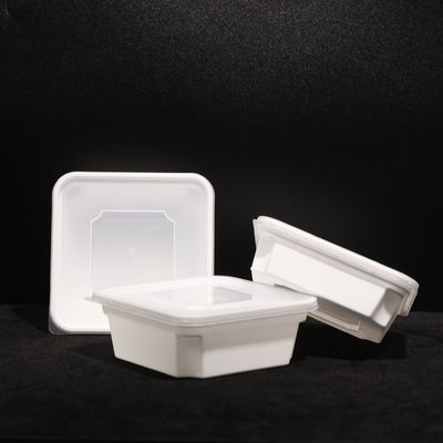 Picnic PP Plastic Lunch Box Disposable With Snap On Lid For Hot / Cold Food