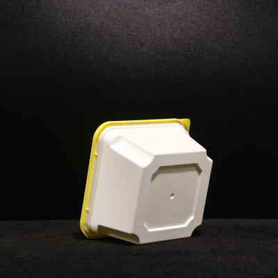 Leak Proof 450ml PP Lunch Box Sandwich Hot Dog Salad Lunch Box Custom Color