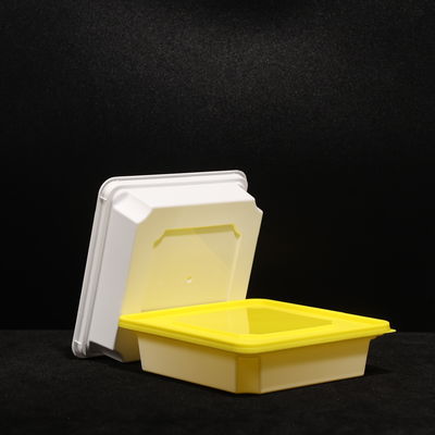 Eco Friendly PP Disposable Lunch Box for Versatile Use With Customized Logo