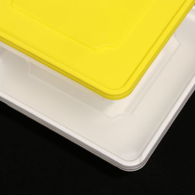Eco Friendly PP Disposable Lunch Box for Versatile Use With Customized Logo