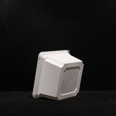 Leak Proof Custom Printed Food Grade Disposable Lunch Box Multipurpose Disposable Bento Box 1000pcs