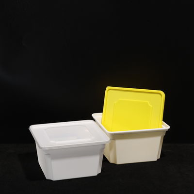 Multi Purpose Food Lunch Box With PP Material in Customizable Colors
