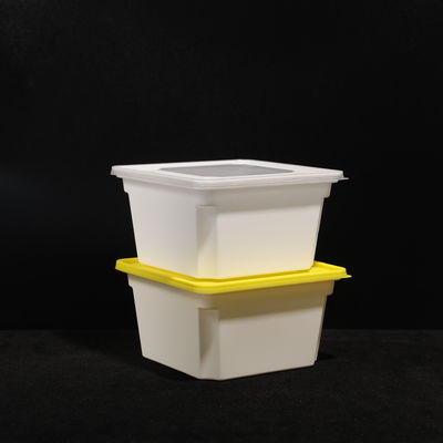 Rectangular Food Safe PP Lunch Box 1000ml Multi Purpose For Hot And Cold Food