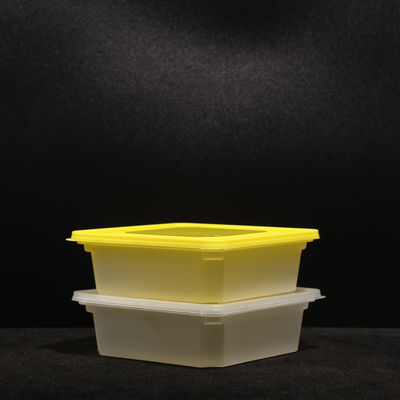 Multi Purpose PP Lunch Box Eco Friendly For Sandwich And Food Packing In Outdoor