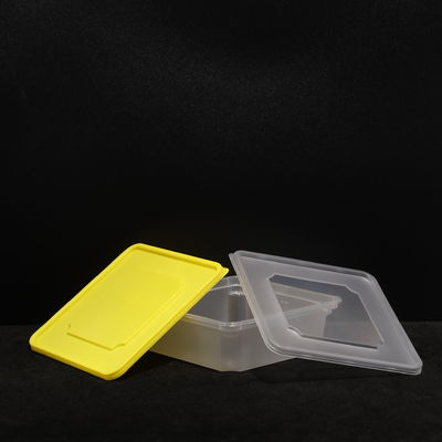 Multi Purpose PP Lunch Box Eco Friendly For Sandwich And Food Packing In Outdoor