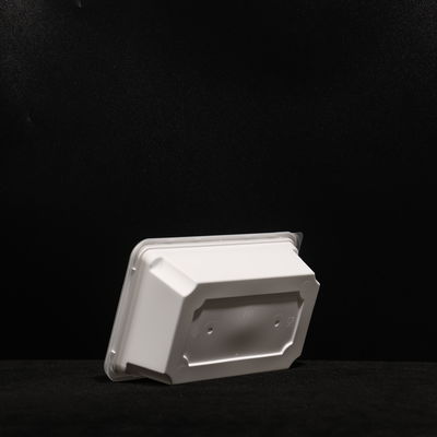 Customized Snack And Fruit PP Lunch Box Stackable Disposable Sandwich Boxes With Color