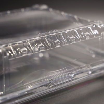 FAD Certificated Clear Plastic Food Container Disposable Cold Food Storage Containers