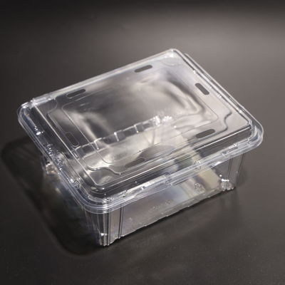 Clear Disposable PET Plastic Food Containers With Lid BPA Free