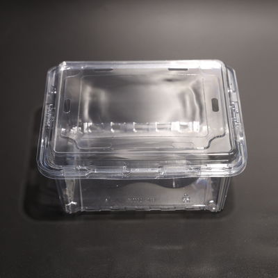 Space Saving Multi Purpose PET Plastic Food Storage Containers In Clear Color