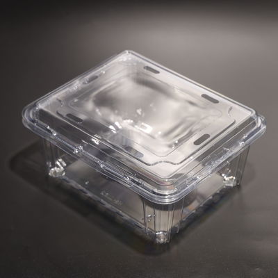 Rectangular Food Packaging Plastic Container PET Eco Friendly Food Storage Containers
