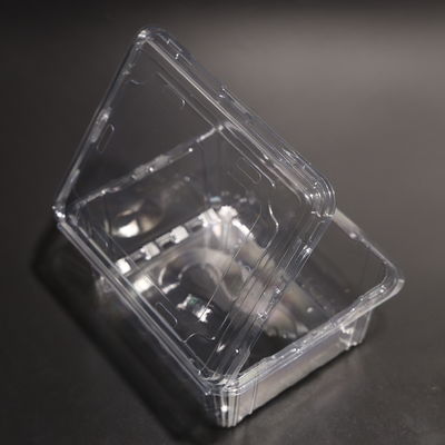 Eco Friendly Plastic Food Container PET Food Storage Container Leak Proof Plastic Vegetable Storage Containers