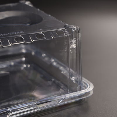 Eco Friendly Plastic Food Container PET Food Storage Container Leak Proof Plastic Vegetable Storage Containers