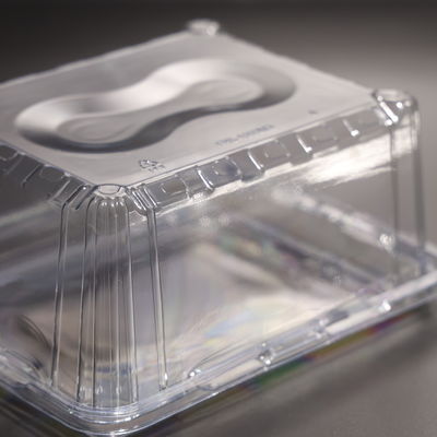Eco Friendly Plastic Food Container PET Food Storage Container Leak Proof Plastic Vegetable Storage Containers