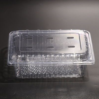 Rectangular Disposable Plastic Food Packaging Container With Lid