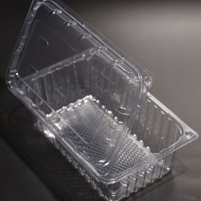 Rectangular Disposable Plastic Food Packaging Container With Lid