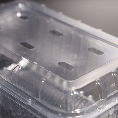 Rectangular Disposable Plastic Food Packaging Container With Lid