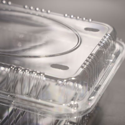 Customized Color Plastic Food Container PET Container With Lid For Freezer Storage