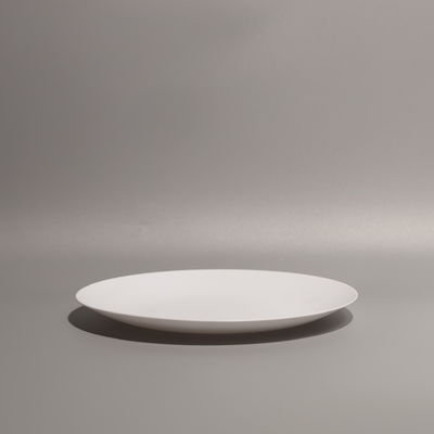 10inch PP Plastic Food Tray for Safe Food Storage