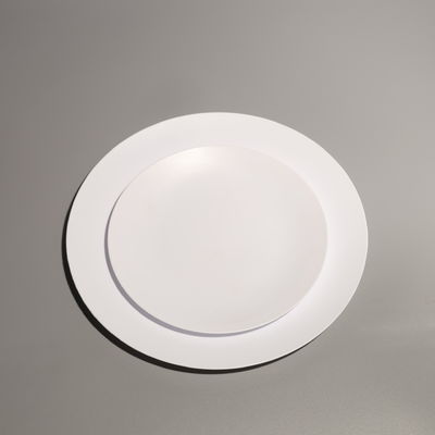 Customized Plastic Food Tray Food Grade Disposable Plastic Tray For Hot Dog