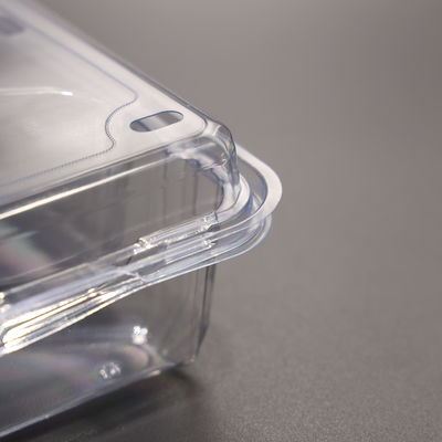 Clear PET 3-Compartment Food Container for Convenient Multipurpose Storage